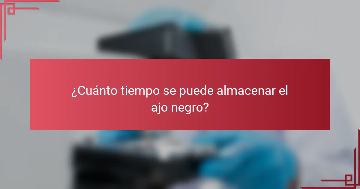 ¿Cuánto tiempo se puede almacenar el ajo negro?