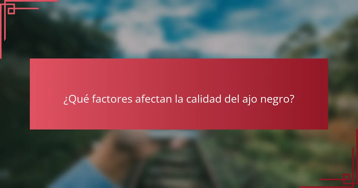 ¿Qué factores afectan la calidad del ajo negro?